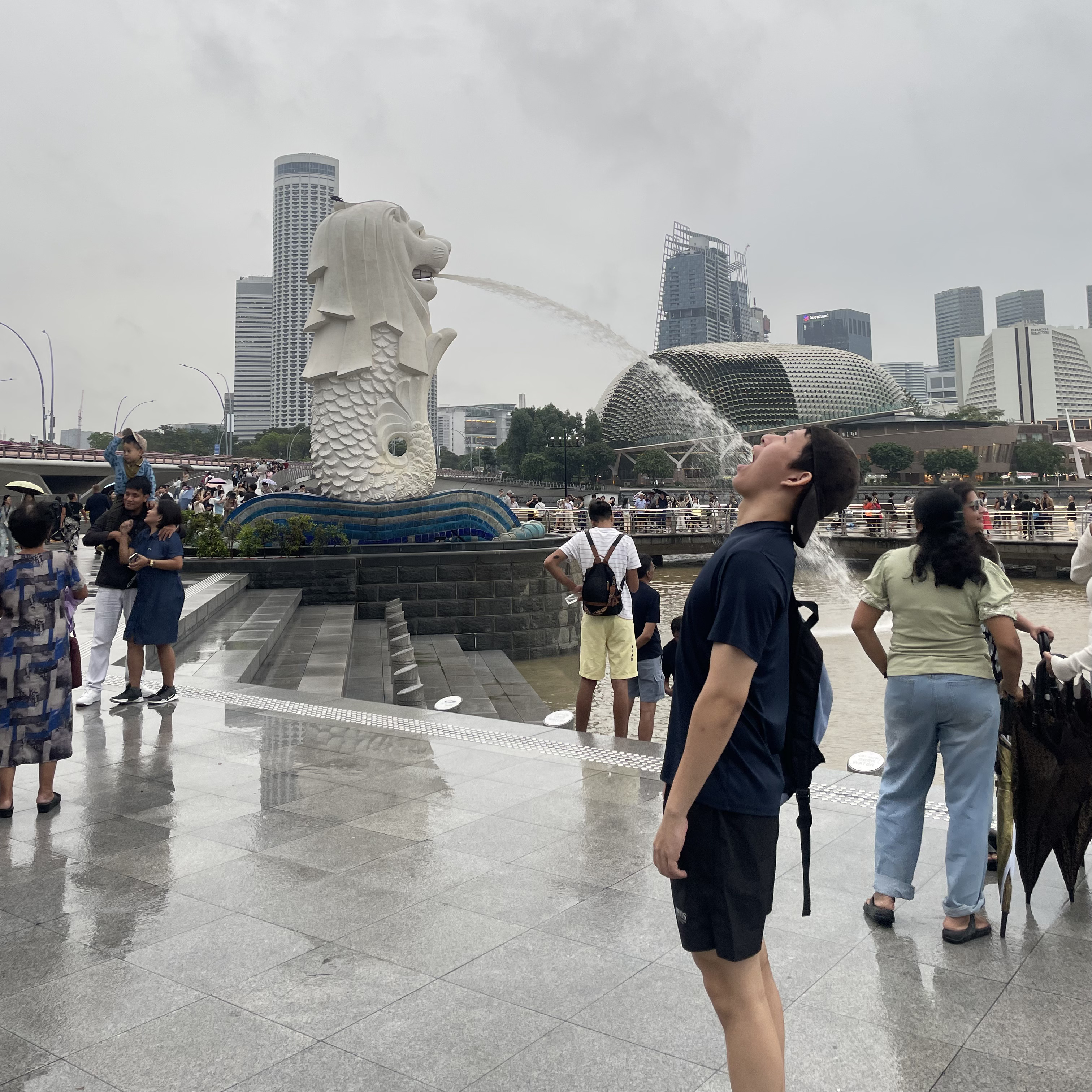 Profile Picture of Enfu Liao